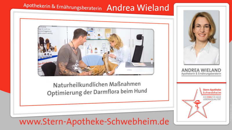 Tierheilpraktiker in der Nähe Schwebheim Schweinfurt Würzburg Andrea Wieland Stern Apotheke 3 5 22