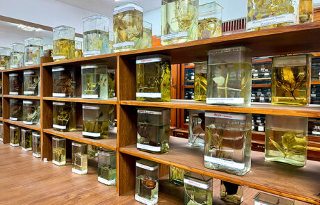 Andrea Wieland ayurvedische Ernährungstherapie Indien